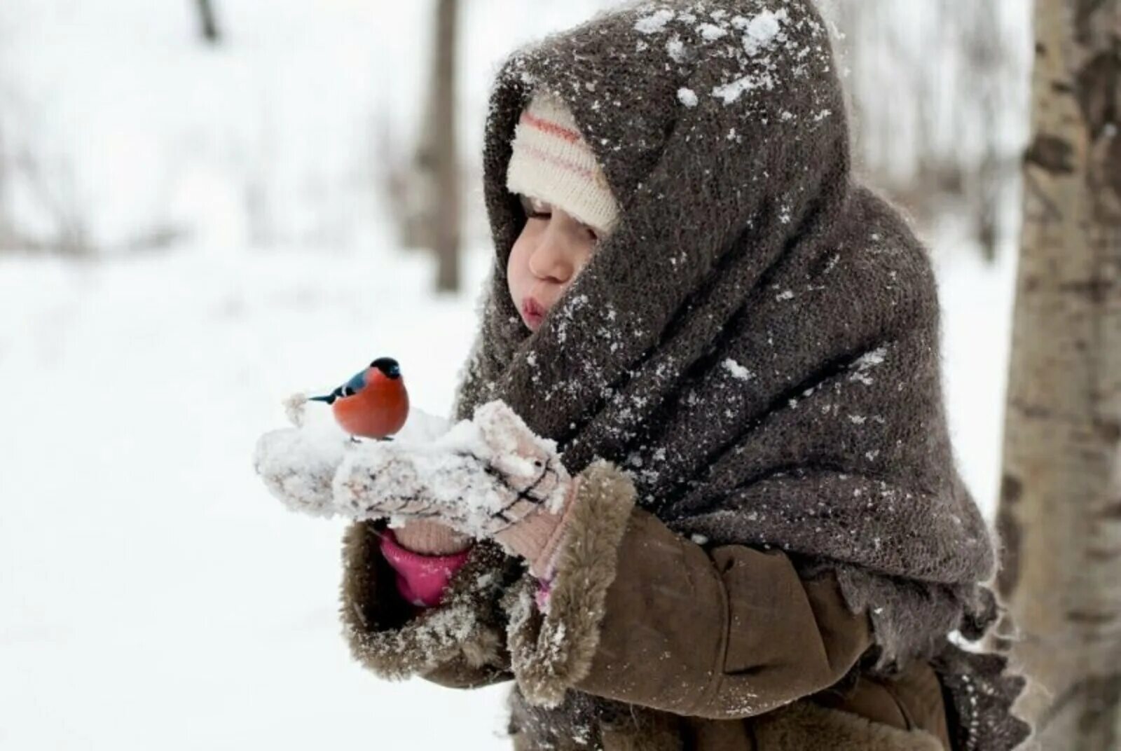 Слушать песню холодно на морозе. Дети зимой. Дети в снегу. Девочка зимой. Ребенок на морозе.