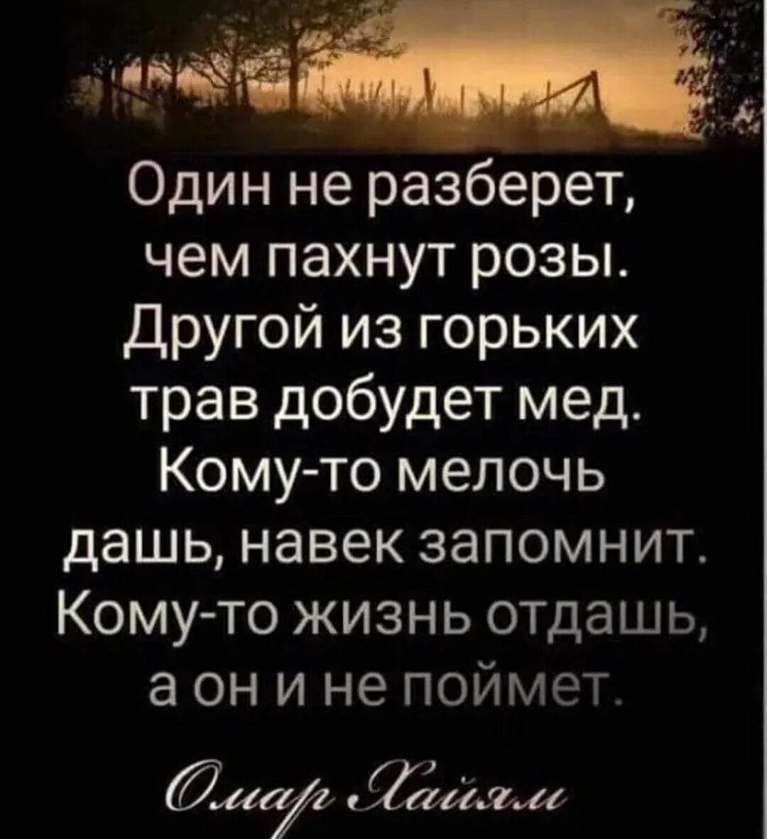 Один не разберет чем пахнут розы другой. Один не разберет чем пахнут розы другой из горьких трав добудет мед. Один не разберет чем пахнут. Один не разберет чем пахнут розы. Один из горьких трав добудет.