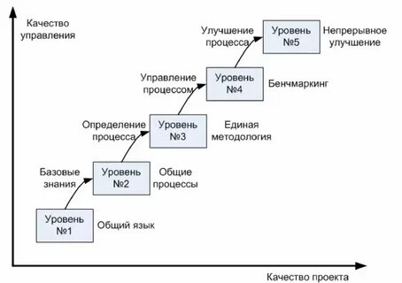 Организационные уровни управления проектами