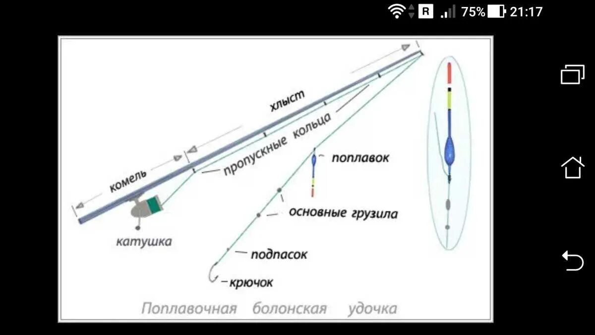 Какой должна быть длина удочки. Поплавочные оснастки для маховой удочки. Оснастка поплавочной удочки с катушкой. Схема поплавочной оснастки. Снасть для маховой удочки.