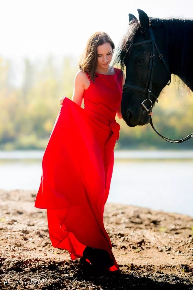 Фотосессия с фризом. Фотосессия с лошадьми на ипподроме. Фотосессия с фризом в Красном платье. Девушка в конюшне в платье. Любимая конюшня
