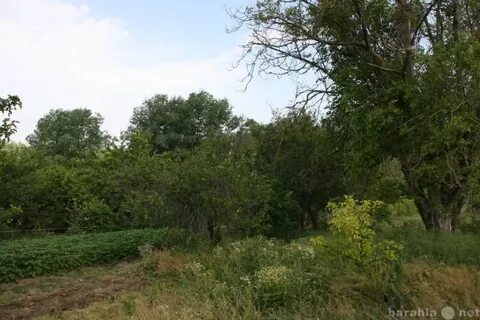 Земельный участок в анапском районе