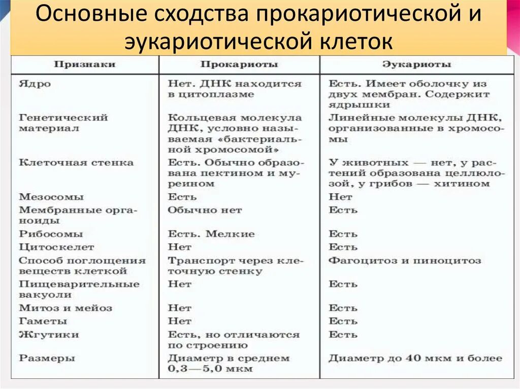 Наследственный материал растений. Сравнение органоидов прокариот и эукариот. Общие черты и различия прокариотических и эукариотических клеток. Сравнительная характеристика прокариот и эукариот органоиды. Характеристика прокариотной и эукариотной клетки..