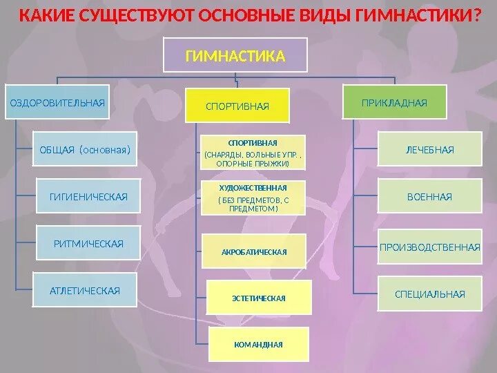 Виды гимнастики. Классификация видов гимнастики. Классификация видов упражнений гимнастики. Традиционные виды гимнастики.