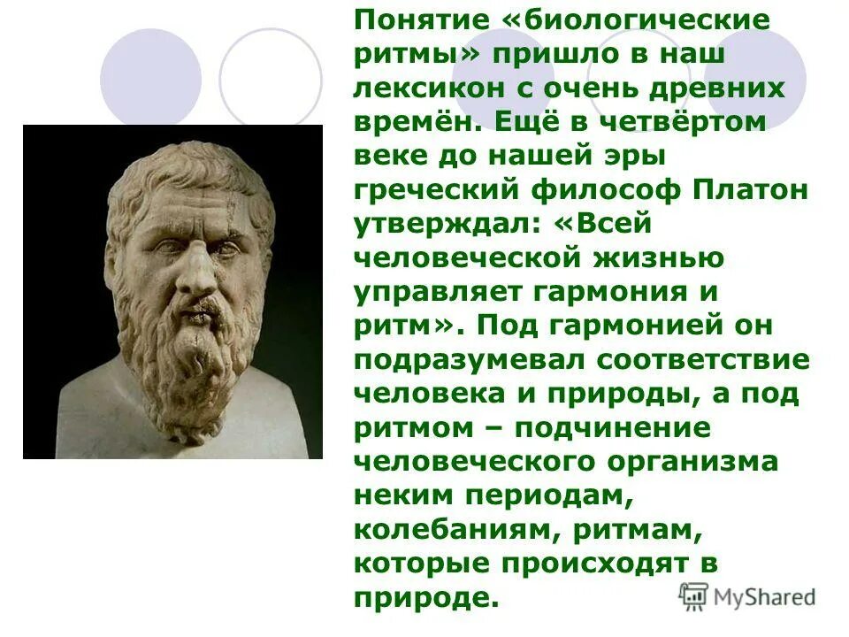 платон вклад в экономику. платон о человеке. 427-347 г. г. платон утверждал что человек.