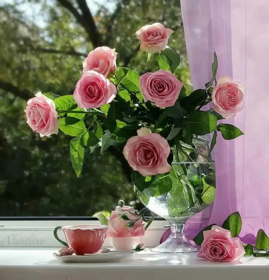 Прекрасного дня цветы картинки. Цветы на окне. Утренние цветы. Букет цветов на подоконнике.