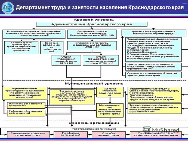 Министерства и управления краснодарского края. Структура центра занятости населения Краснодарского края-. Структура центра занятости. Структура Министерства труда. Структура органов занятости населения.