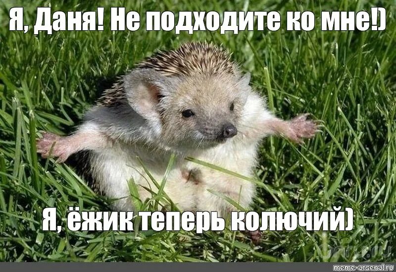 Данечка я устала