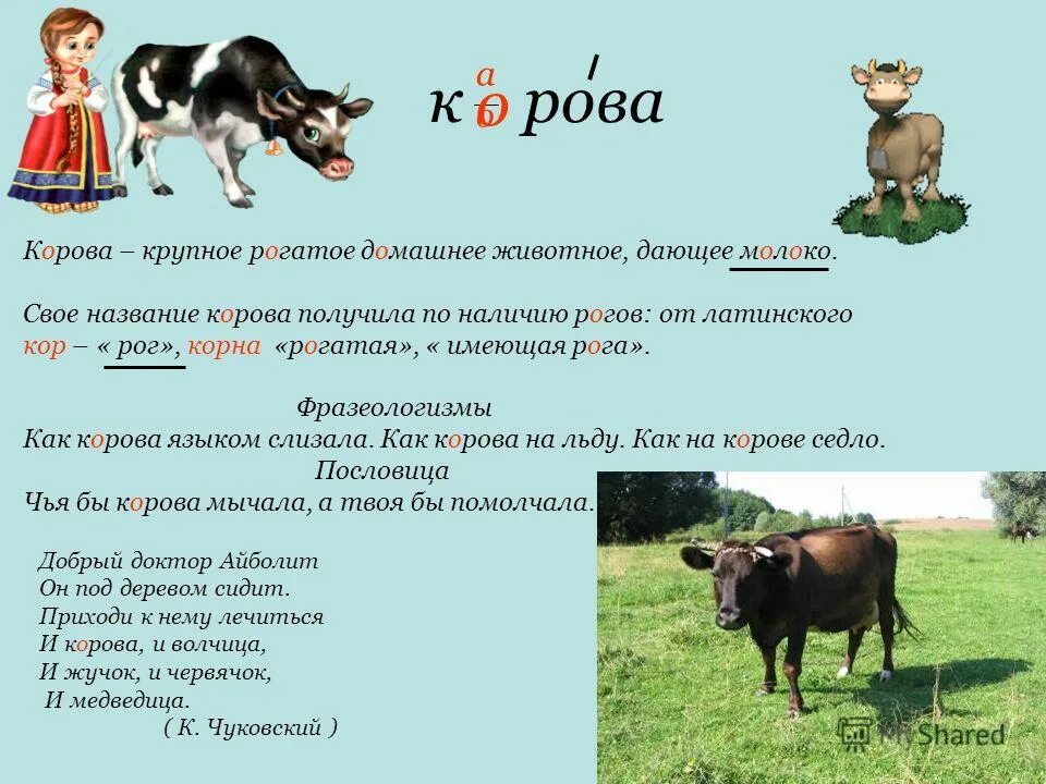 Текст про корову. Словарарное слово короа. Предложение со словом корова. Имена коров. Предложение про корову.