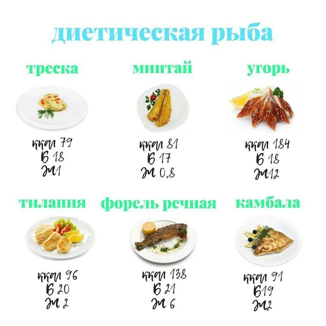 Какие продукты можно есть рыбу. Не жирные сориютв рыбы. Нежирная рыба. Жирные и не жирные сорта пыб. Низкокалорийные сорта рыбы.