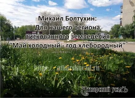 Май холодов