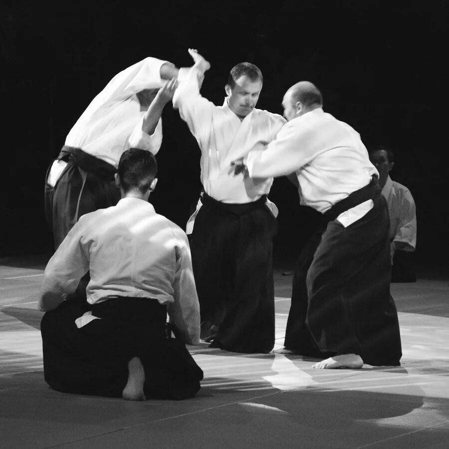 каратэ подростки. кимоно для рукопашки. айкидо айкикай. рукопашный бой мамонтово айкидо. маваши гери чудан.