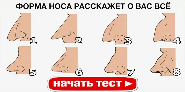 Какой нос какой нации. Формы носа. формы носов. типы формы носа. нос форма носа.