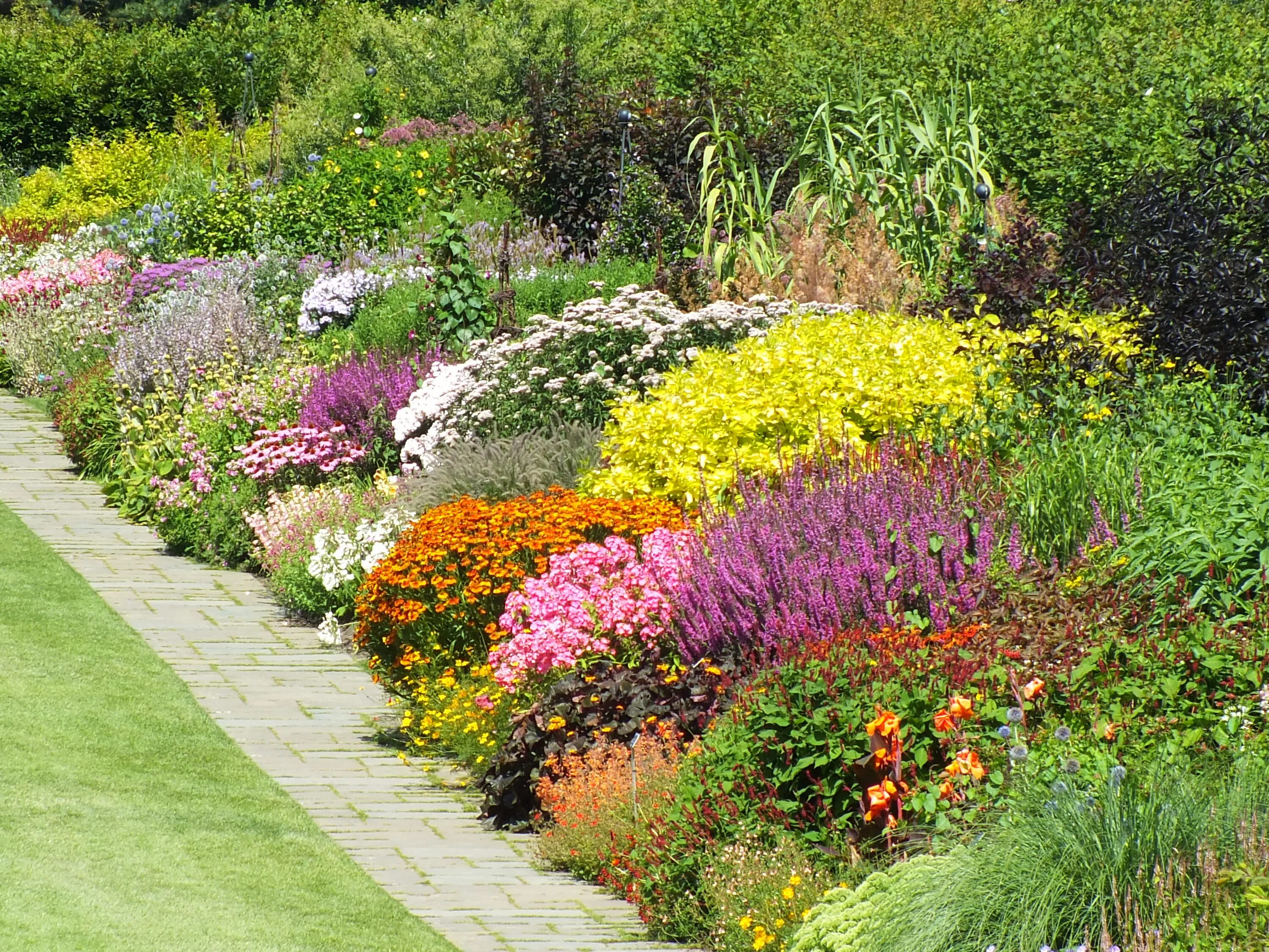 Цветник из многолетников. Миксбордер рабатка люпин флокс. Лилейники и хвойники. Миксбордеры клумбы рабатки. Миксбордер хайди клум.