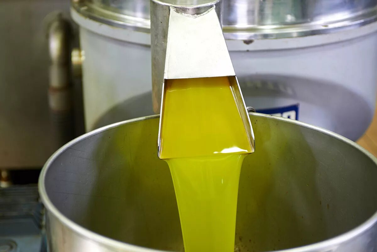 Завод подсолнечного масла. Производство подсолнечного масла. Производители растительного масла. Завод рапсового масла.