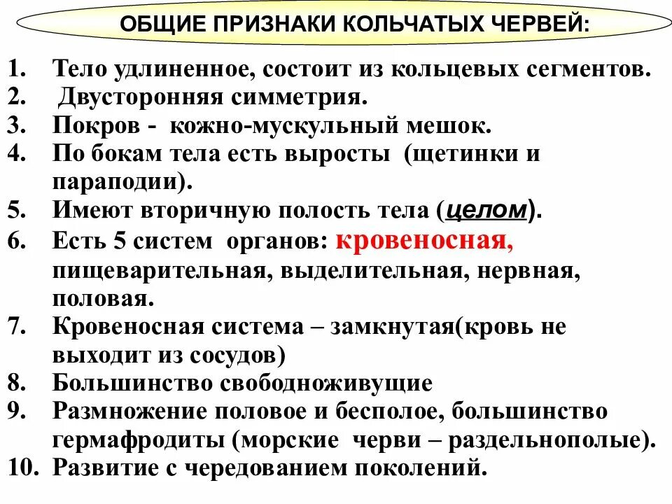 Какие черты строения характерны для кольчатых. Характерные признаки типа кольчатые черви. признаки типа кольчатые черви. общие признаки кольчатых червей 7 класс. основные признаки кольчатых червей.