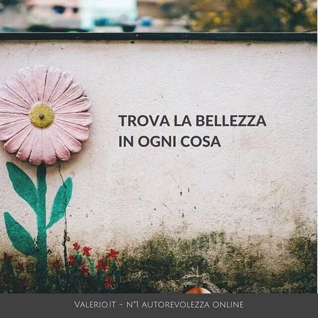 Высказывания про цвета. Цитаты про цветы. афоризмы про цветы. высказывания про цветы. красивые высказывания о цветах.