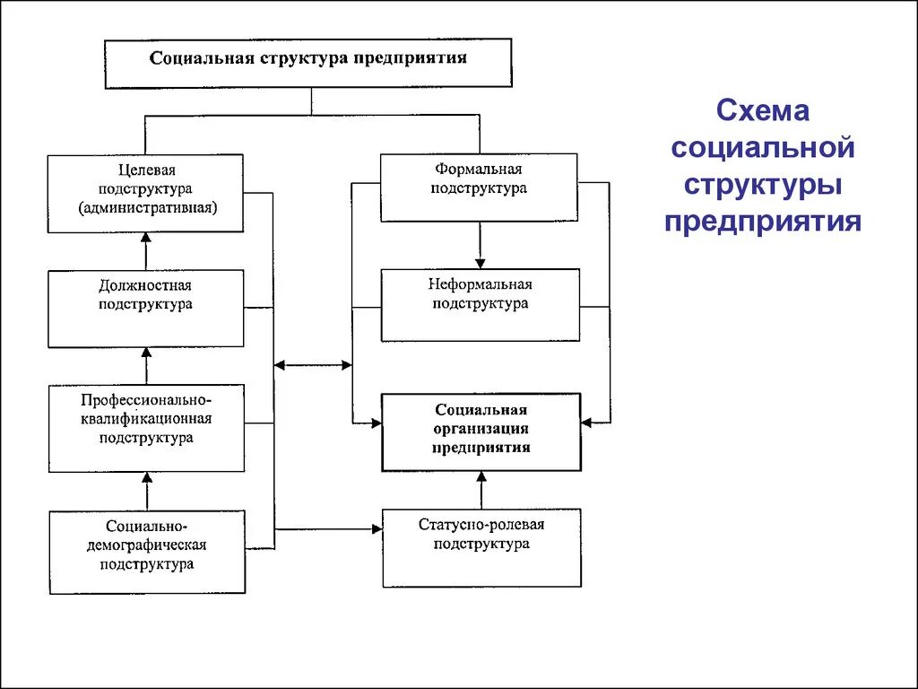 Состав социальных учреждений