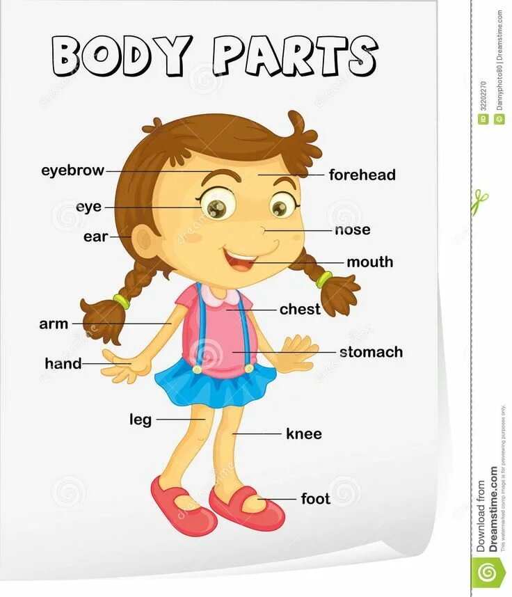 I control my body. Body parts для детей. body parts на английском.