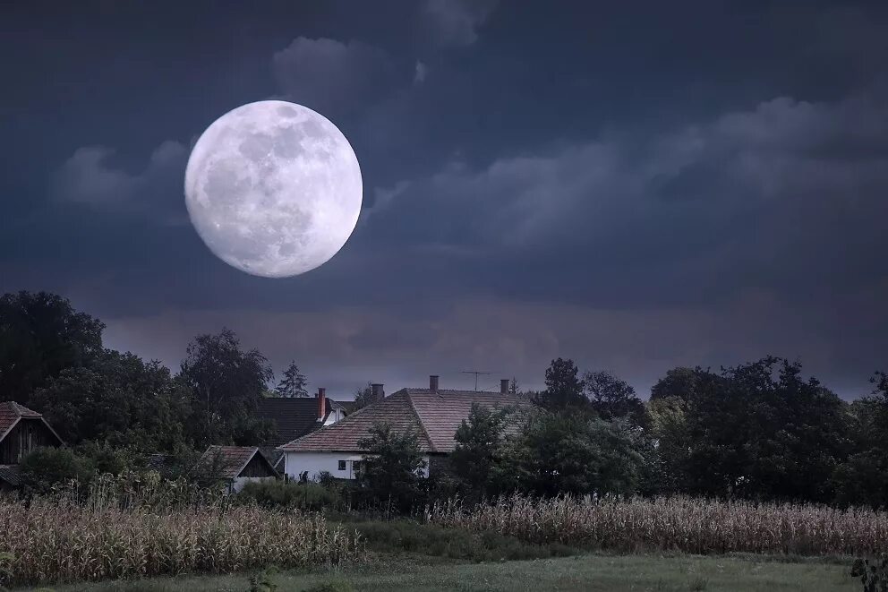 Полнолуние что сделать. Луна. Полнолуние. Луна над деревней. Лунная ночь.