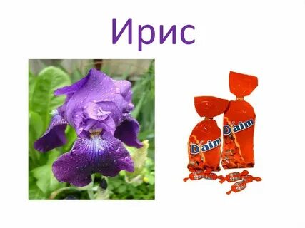 Ирис разное ударение
