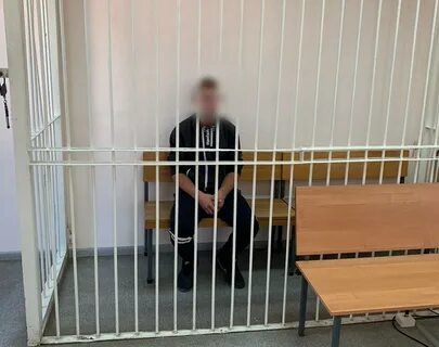 6 месяцев лишения свободы