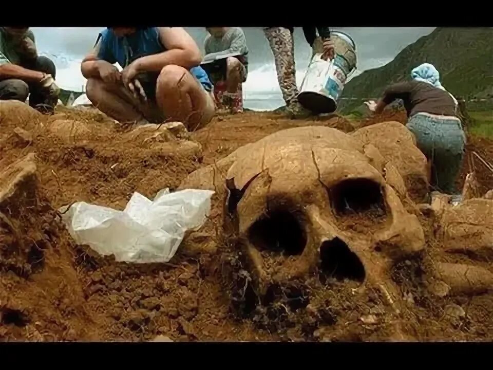 Человек гигант видео. Скелет великан из склепа великанов дс 1. Человек гигант видео. Человек гигант видео. Японский великан 20 века.