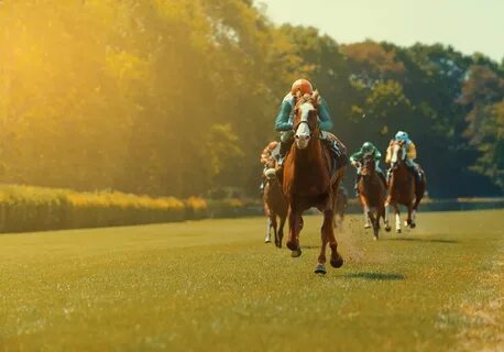 Horse race betting