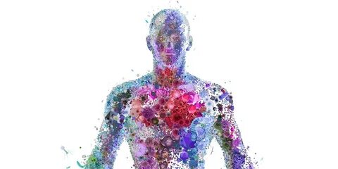 Human e