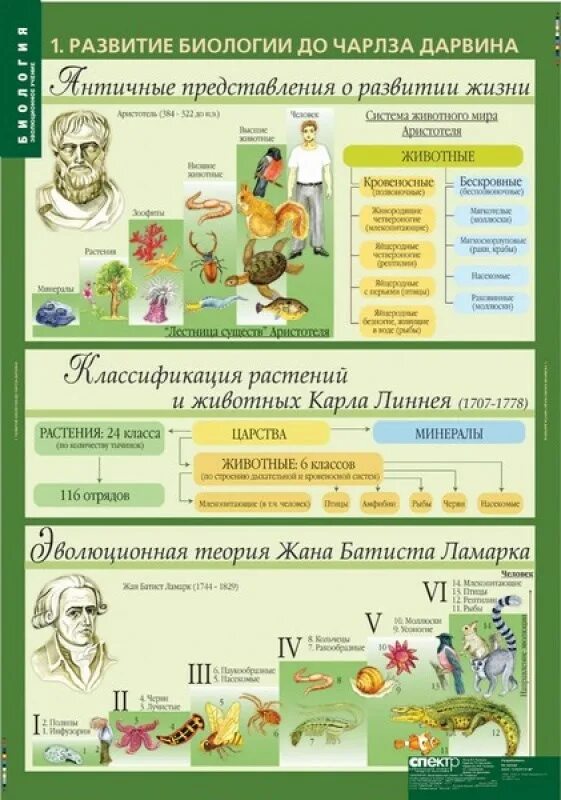 Темы по биологии 10 11