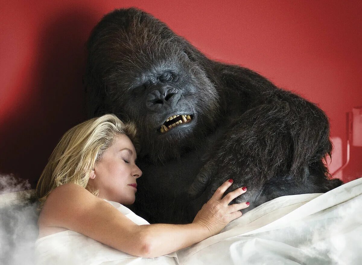 Новейший завет катрин денев. Горилла смешная. Новейший завет 2015. Гориллы пришли на помощь. 4 гориллы.