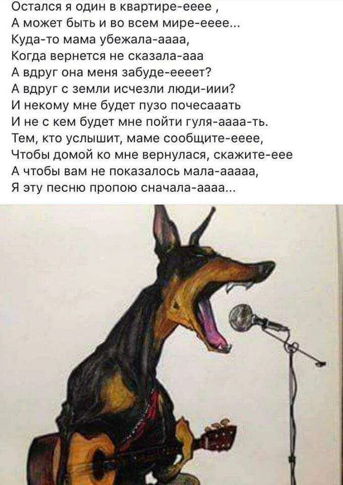 Собака лает когда уходим из дома. Воет собака у соседей. почему собака воет ночью. воет соседская собака. почему собаки лают.
