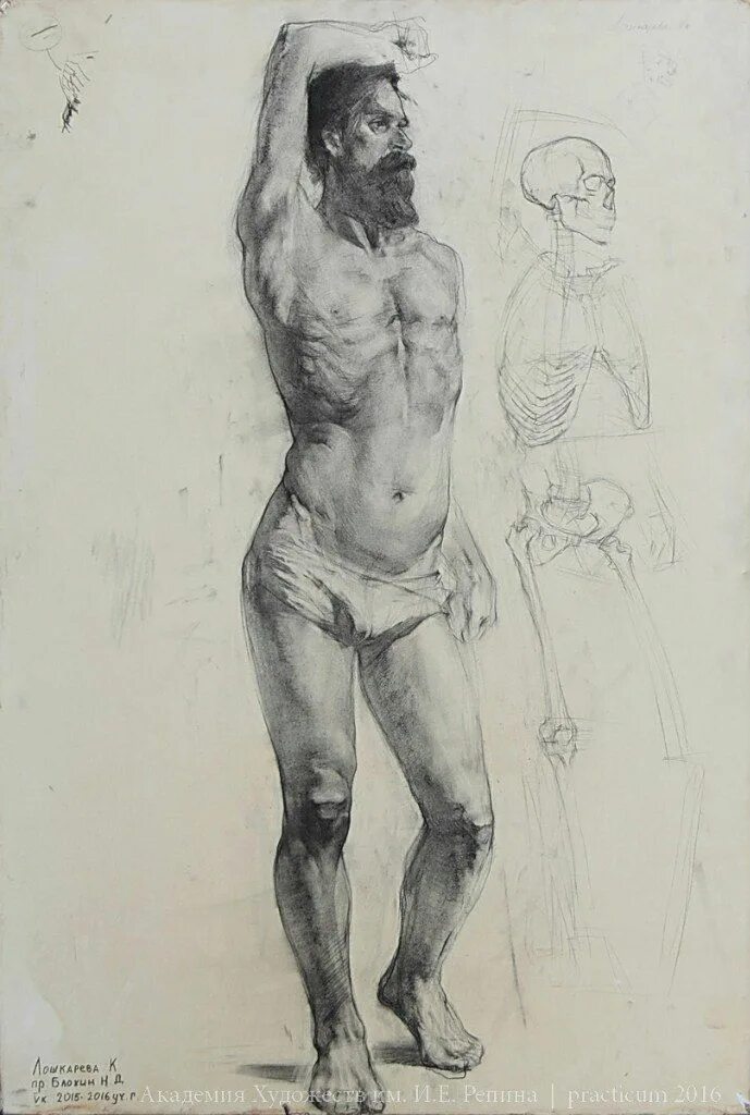Эскизы натура. Контрапост Микеланджело. Академия Репина портрет Наброски.