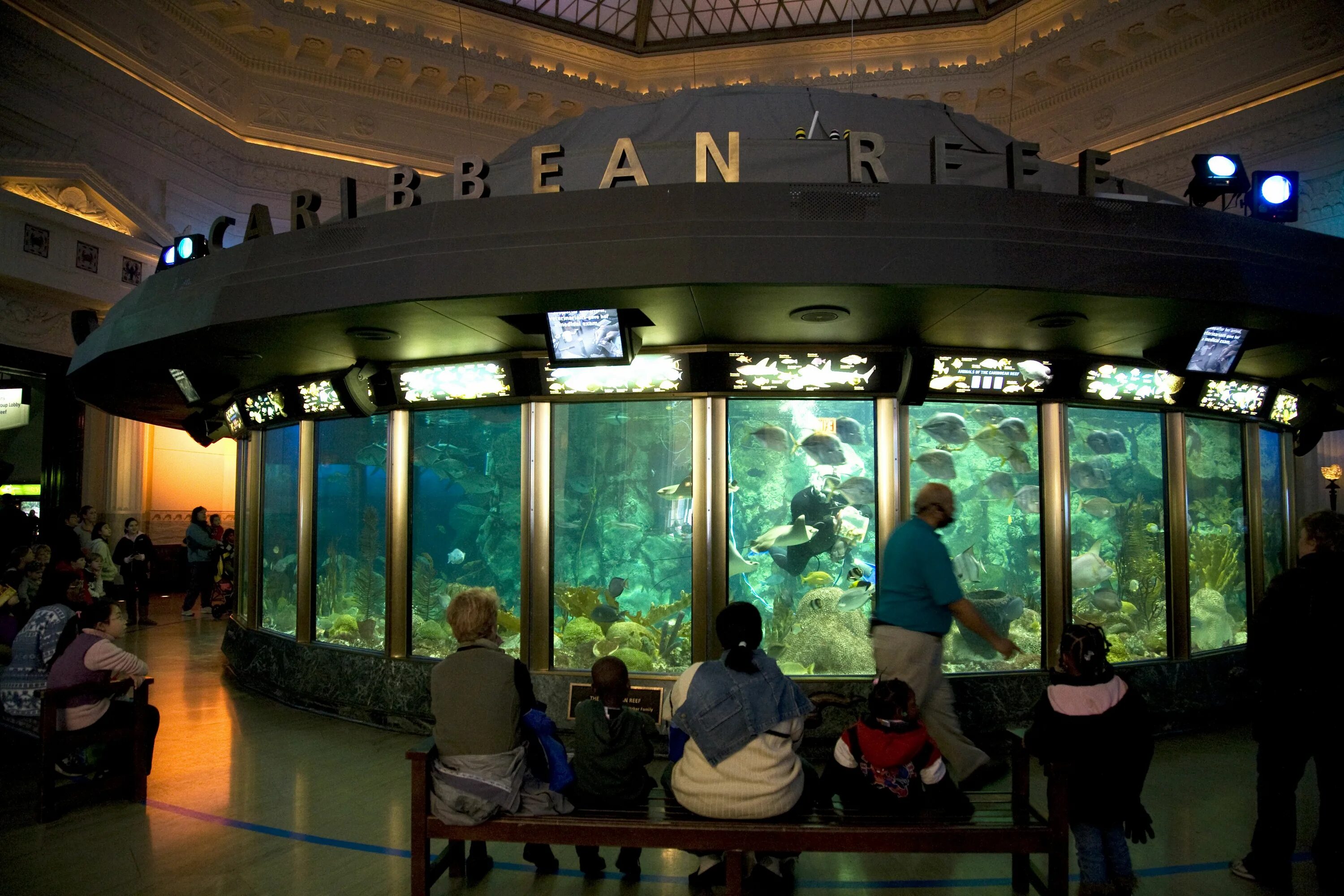 Аквариум наблюдать. Аквариум Шедда. Shedd Aquarium Chicago. Океанариум Санкт-Петербург внутри. Океанариум Батискаф Анапа.