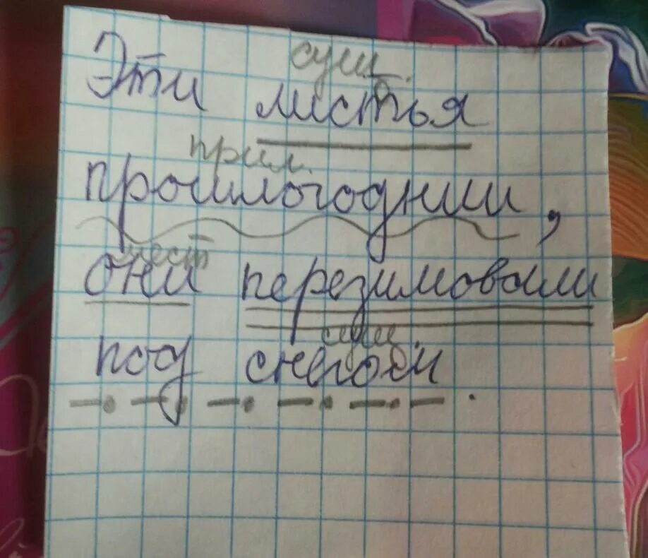 Выполните пунктуационный разбор предложения Эти листья прошлогодние, они перезим
