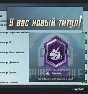 Мастер оружия пабг достижение