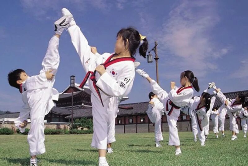 Тхэквондист. Китайская тхэквондо. Taekwondo дети. Китайская тхэквондо. Восточные единоборства для детей.