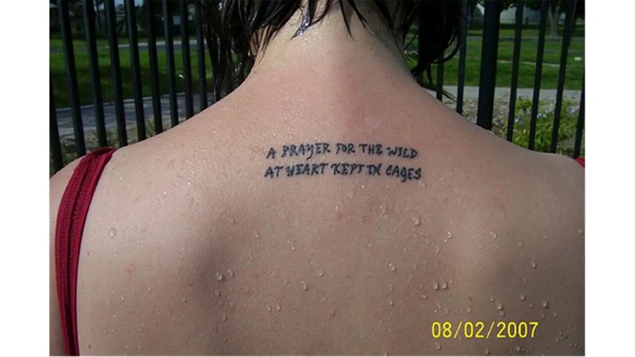 Keep me from the cages. A2rh+ тату. A Prayer for the Wild at Heart, kept in Cages.