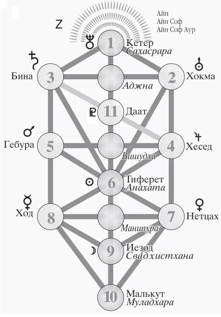 Древо Сефирот. Древо Сефирот Каббала. Дерево Сефирот Древо жизни. Схема дерева Сефирот. Что значит древа