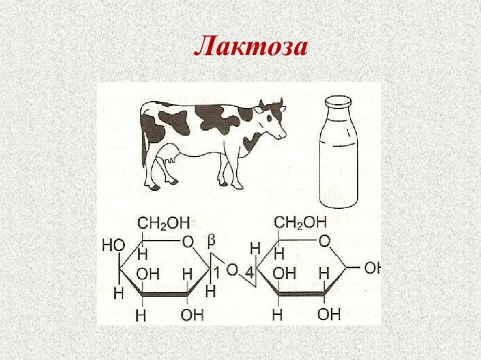 Применение лактозы. Лактоза развернутая формула. Лактоза строение. Лактоза молока. Лактоза в молочных продуктов.