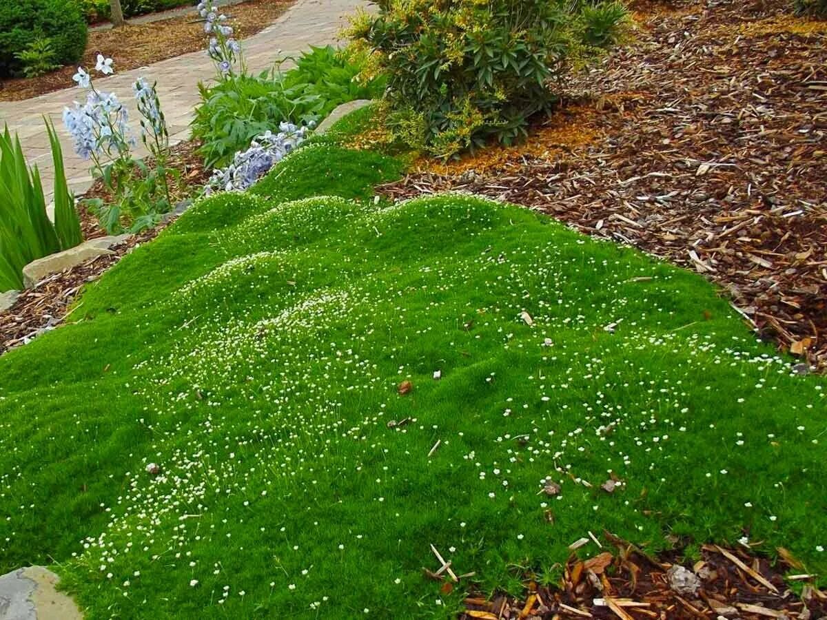 Covering ground