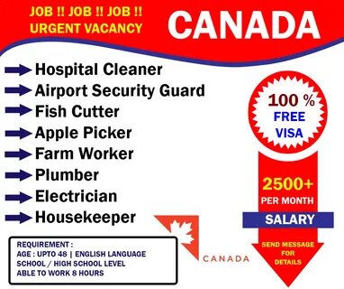 Visa jobs