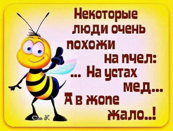Очень в устах. Некоторые люди очень похожи на пчел. некоторые люди похожи на пчел на устах мед. люди похожи на пчел. шутки про пчел.