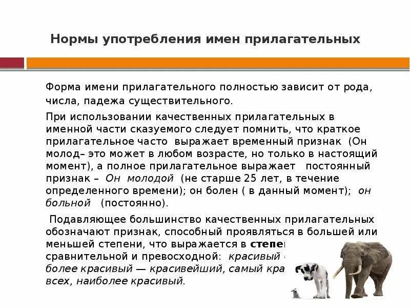 Основные нормы употребления существительных прилагательных числительных. Нормы употребления имен прилагательных числительных местоимений 6. нормативное употребление форм имени прилагательного. нормы употребления имен прилагательных кратко. нормы употребления имен существительных и прилагательных.