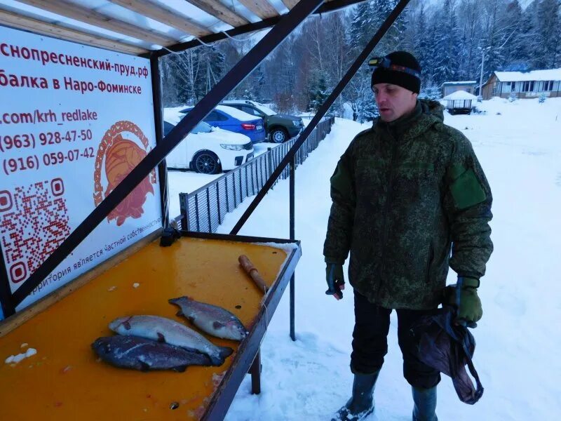 Русфишинг ру платные пруды. Краснопресненские пруды Наро-Фоминск рыбалка. Краснопресненские пруды рыбалка. КРХ Краснопресненский пруд. Щедринские пруды рыбалка.