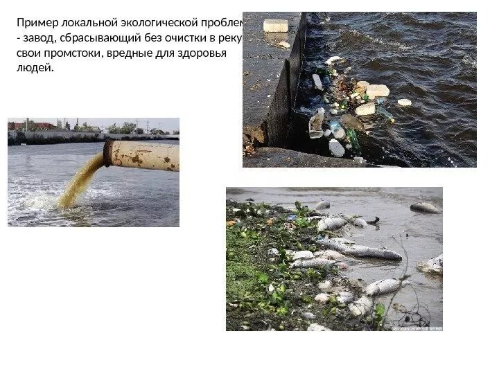 Решение локальных проблем. Локальные экологические проблемы. экологические проблемы ло. локальные проблемы экологии. локальные проблемы экологии примеры.
