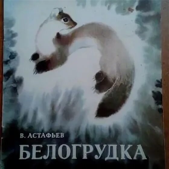 Белогрудка читательский дневник. В П Астафьев Белогрудка. Иллюстрации к произведениям Астафьева Белогрудка. Произведение Астафьева Белогрудка.