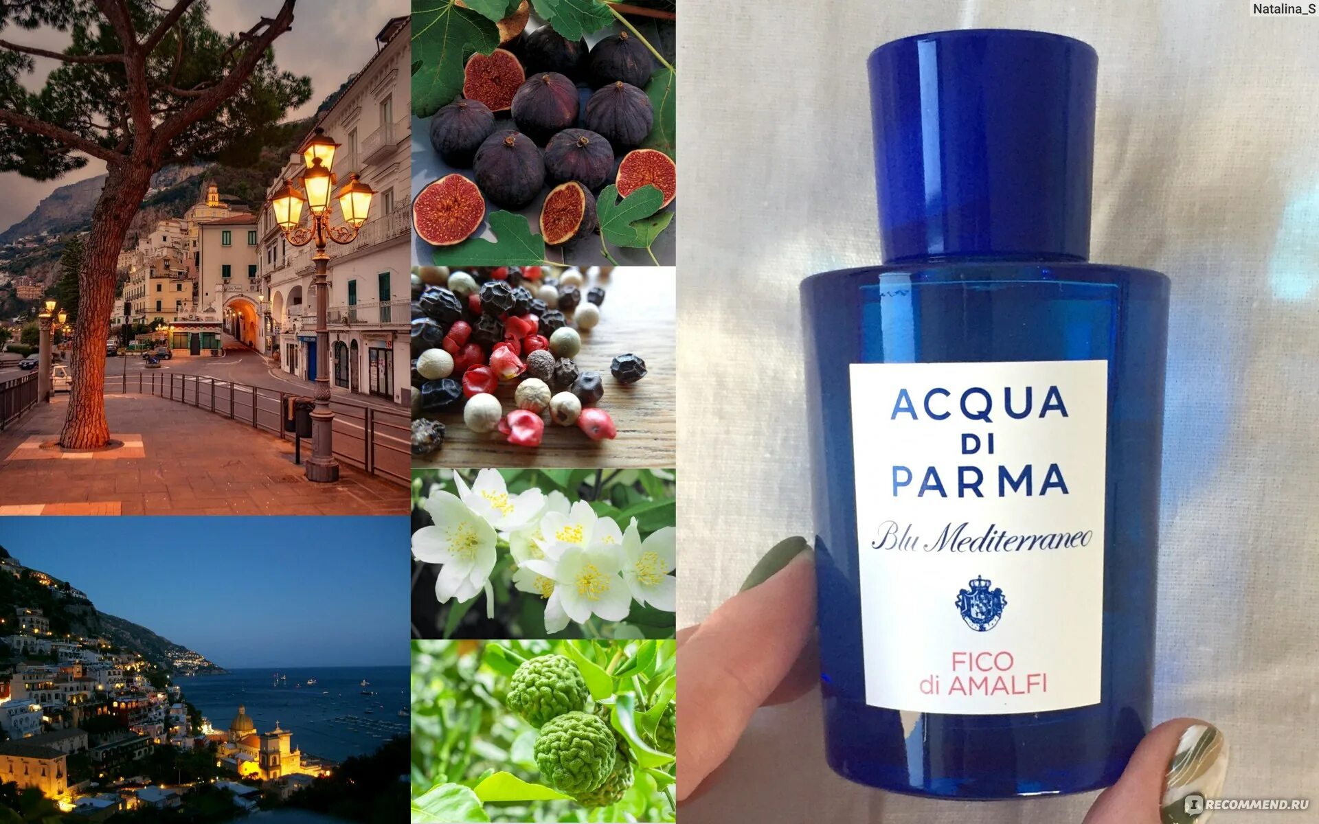 Аромат acqua di Parma Blu Mediterraneo fico di Amalfi. Aqua de Parma инжир. Acqua di Parma fico di Amalfi 30 мл + свеча 70 гр. Туалетная вода мужская Аква ди Парма инжир. Acqua di parma amalfi