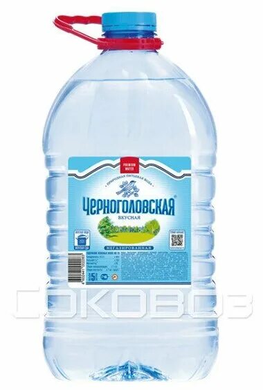 Черноголовка вода питьевая, газ, 0. Вода черноголовская 5 литров. Вода черноголовка 2. 5 черноголовская для детей. Вода черноголовка 5л.