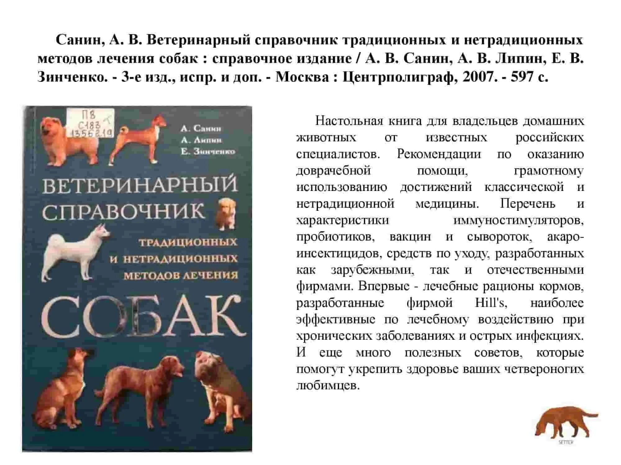 Можно ли с собакой на избирательный участок. Животные учат ответственности. Руководство по выбору собаки.